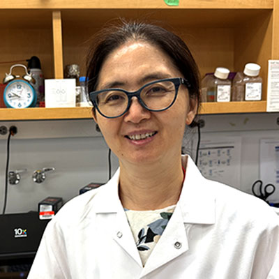 Fan Li