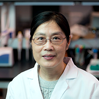 Yuan Xin